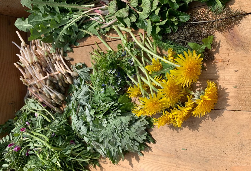 コンタクトフォーム画像